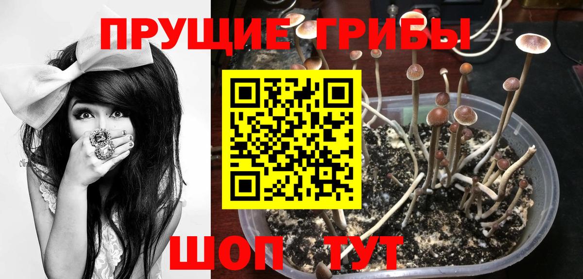 Галлюциногенные грибы прущие грибы  Вход с VPN  Бахчисарай 